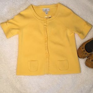 Cute Ann Taylor Cardigan Sweater